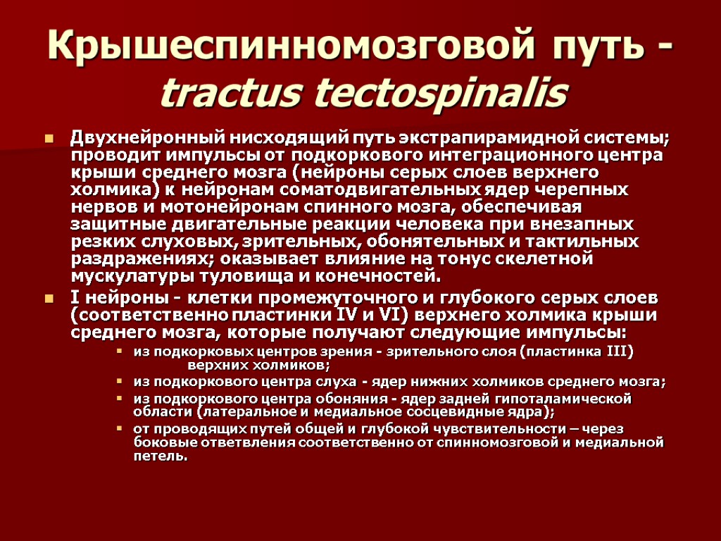 Крышеспинномозговой путь - tractus tectospinalis Двухнейронный нисходящий путь экстрапирамидной системы; проводит импульсы от подкоркового